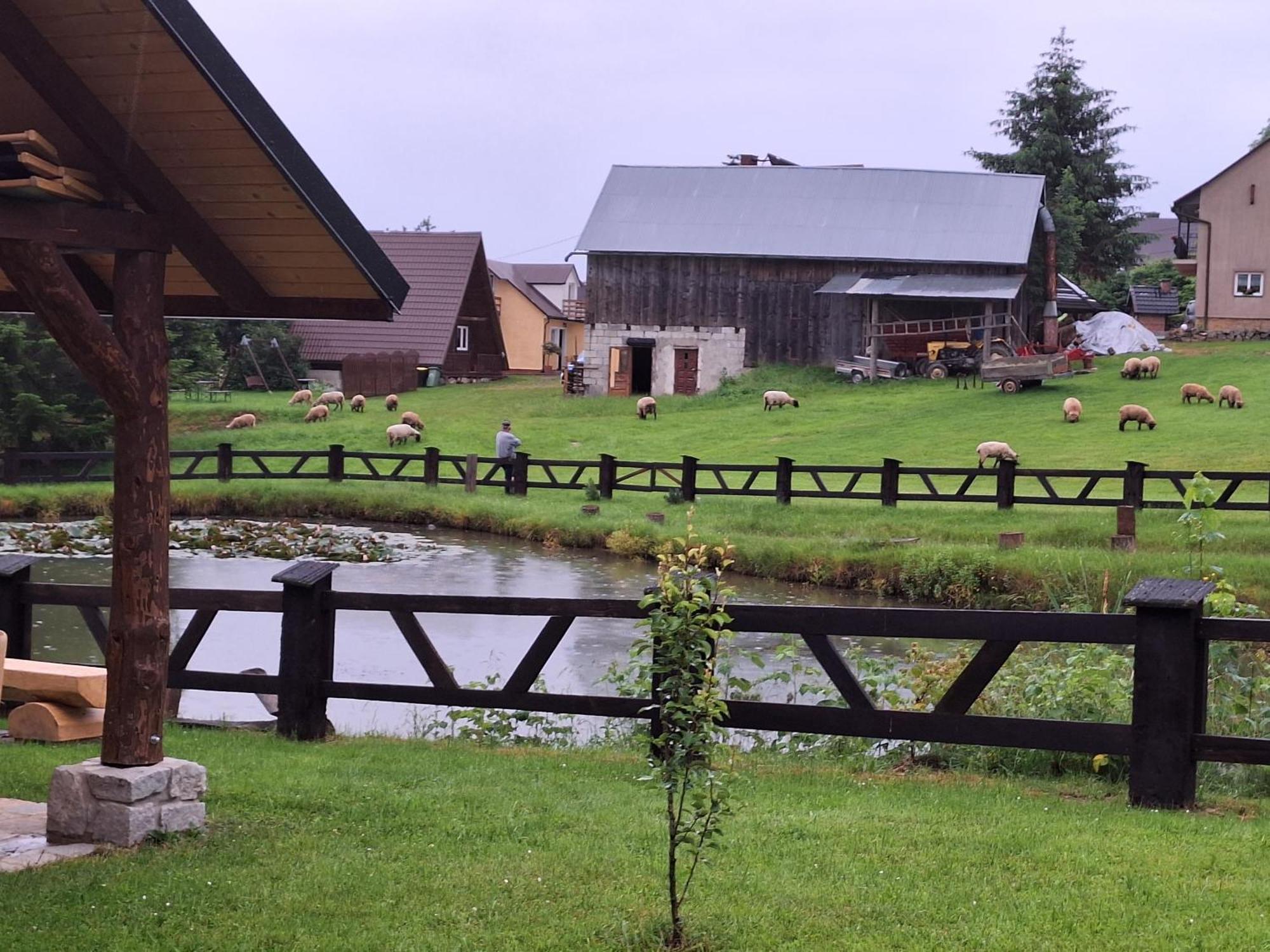 Nad Liliowym Stawem Holiday home Berezka