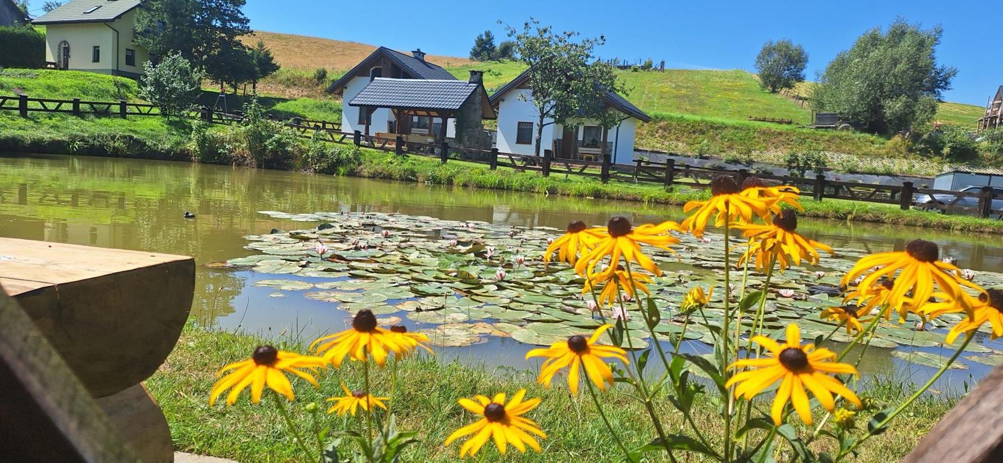 Nad Liliowym Stawem Holiday home *